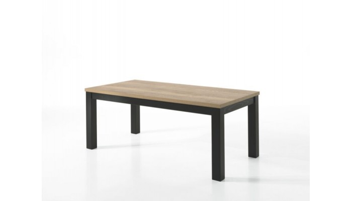 MOUNT - Table fixe - 4 pieds massifs 220 cm x 100 cm 