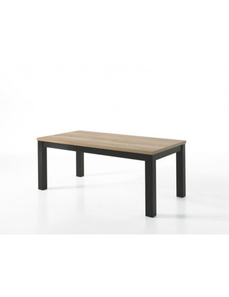 MOUNT - Table fixe - 4 pieds massifs 220 cm x 100 cm 