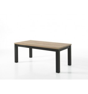 MOUNT - Table avec allonge - 4 pieds massifs 160 cm / 210 cm x 100 cm 